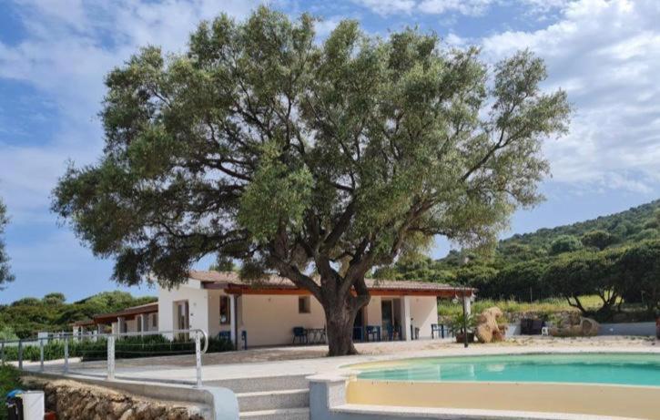Hotel Pranos Turismo Rurale Cala Gonone Kültér fotó